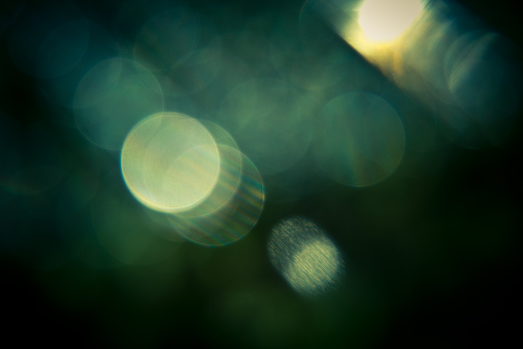 Dark Green Bokeh Background